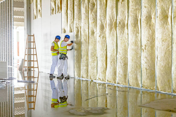 Best Residential Insulation in Encinitas, CA